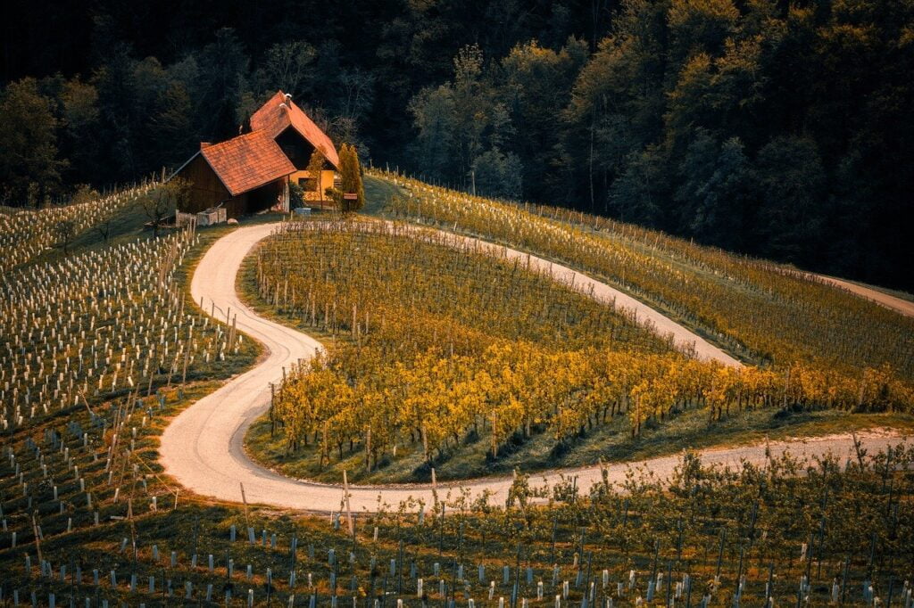 image d'une route en forme de coeur